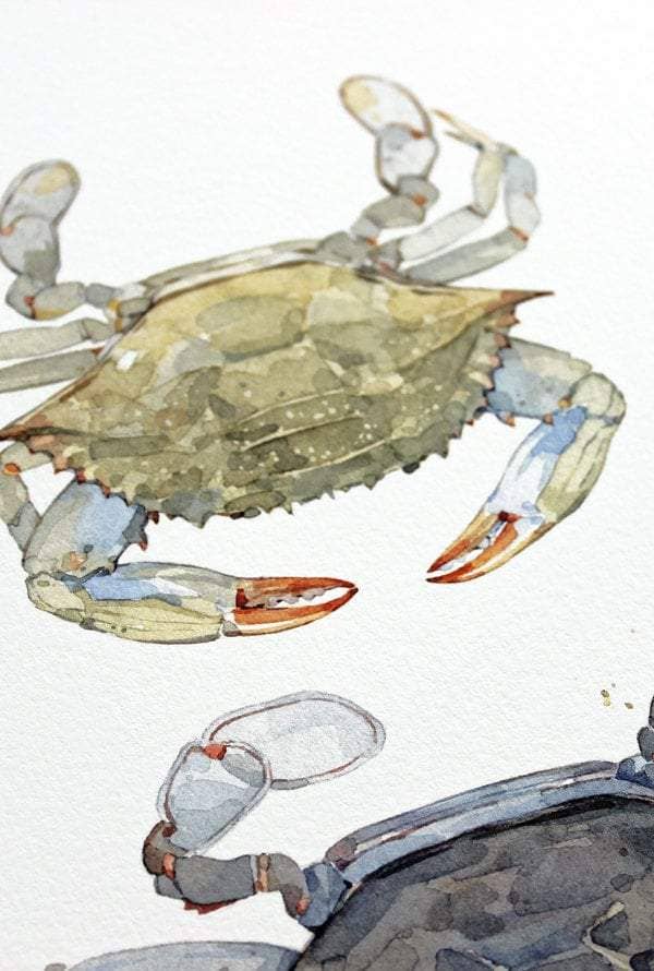 Blue Crabs Watercolor Painting Print: 8x10 (11x14 mat)