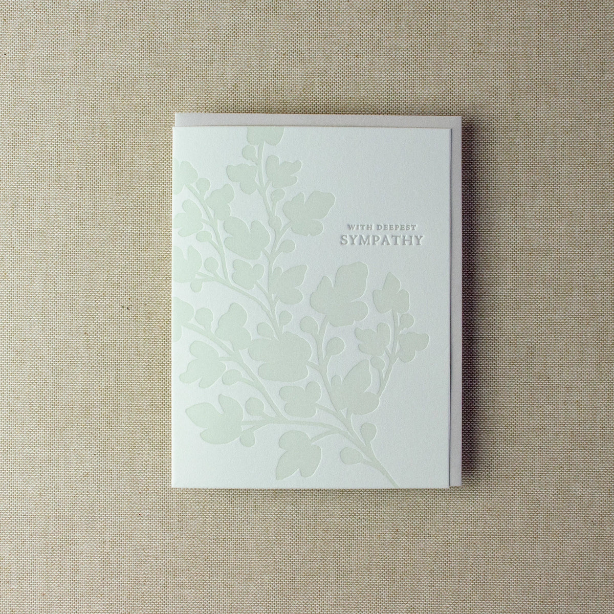 Fig Leaf Sympathy
