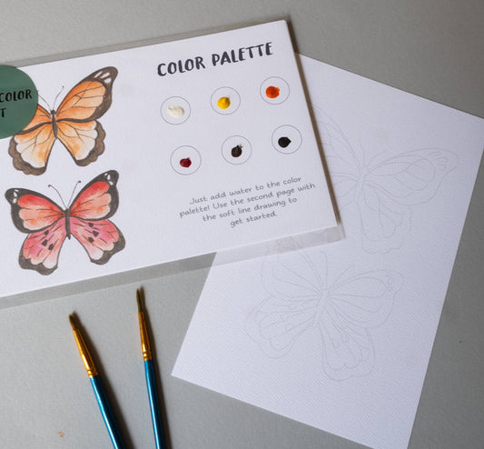 Butterfly Watercolor Painting Art Kit with Outline page
