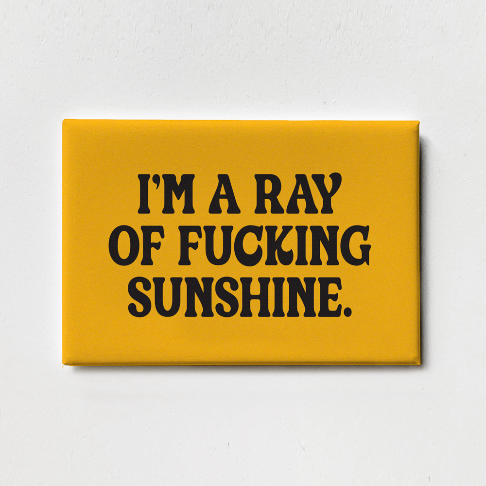 I'm a Ray of Fucking Sunshine - Magnet