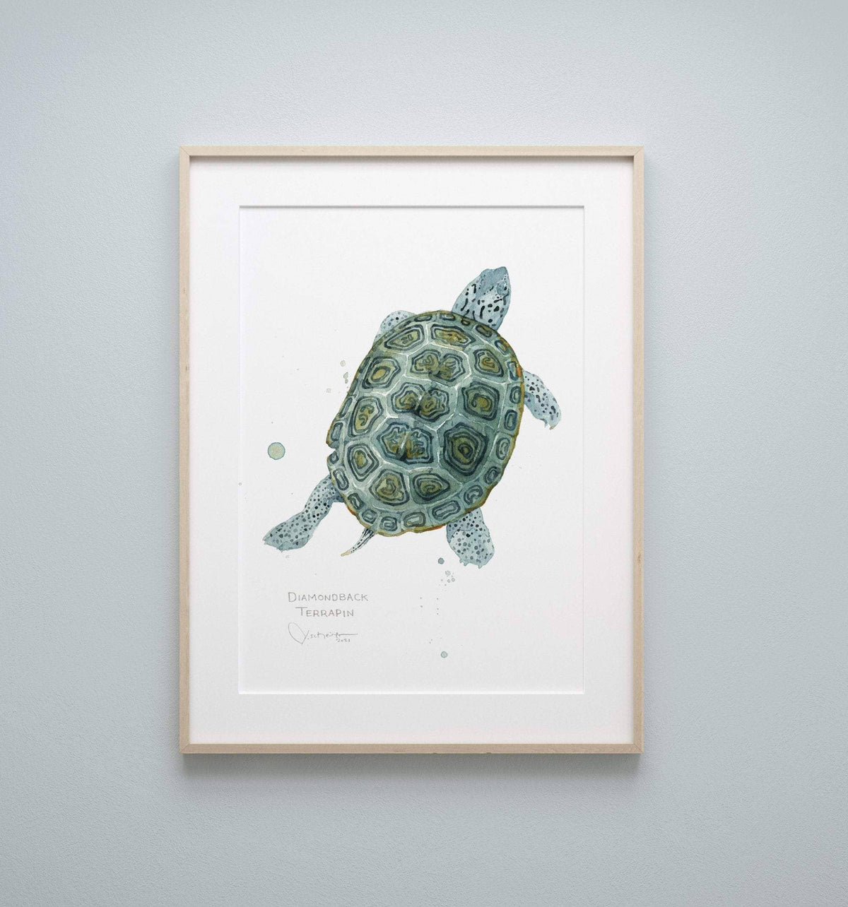 Diamondback terrapin watercolor print, alternate view