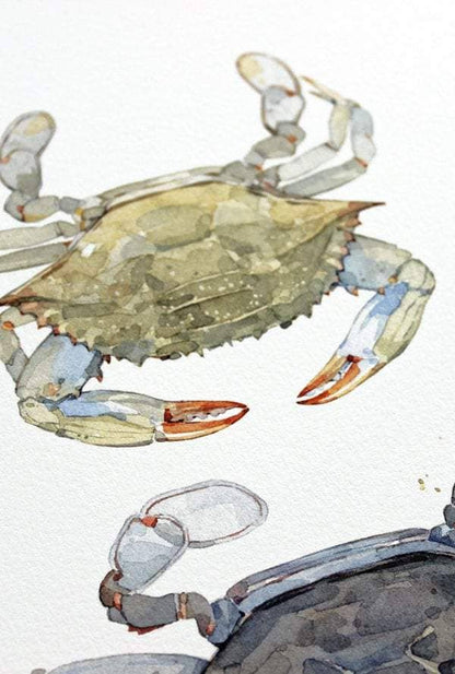 Blue Crabs Watercolor Painting Print: 8x10 (11x14 mat)
