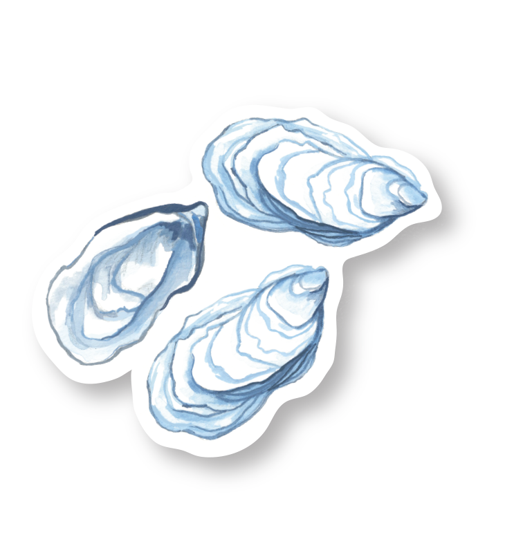 Oyster Coastal sticker 