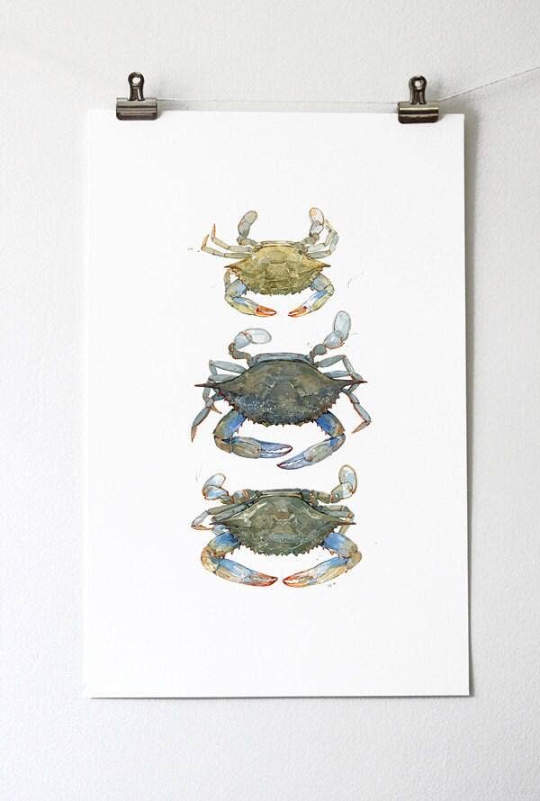 Blue Crabs Watercolor Painting Print: 8x10 (11x14 mat)
