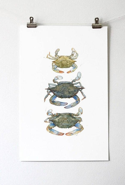 Blue Crabs Watercolor Painting Print: 8x10 (11x14 mat)