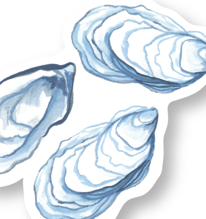Oyster Coastal sticker 