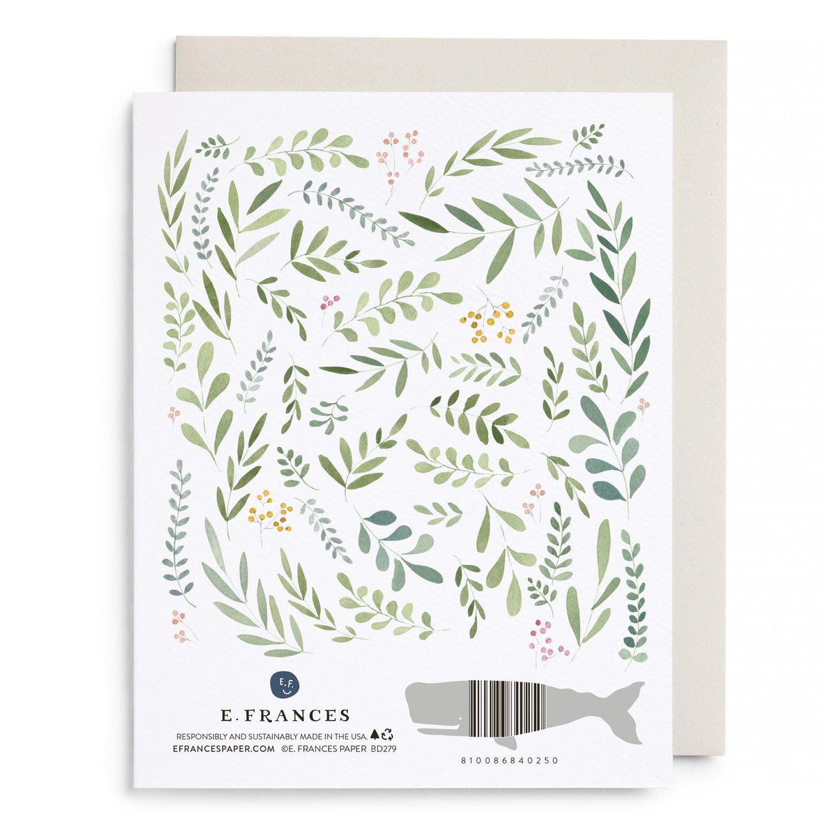 Pretty Leaves Birthday by E. Frances Paper, back