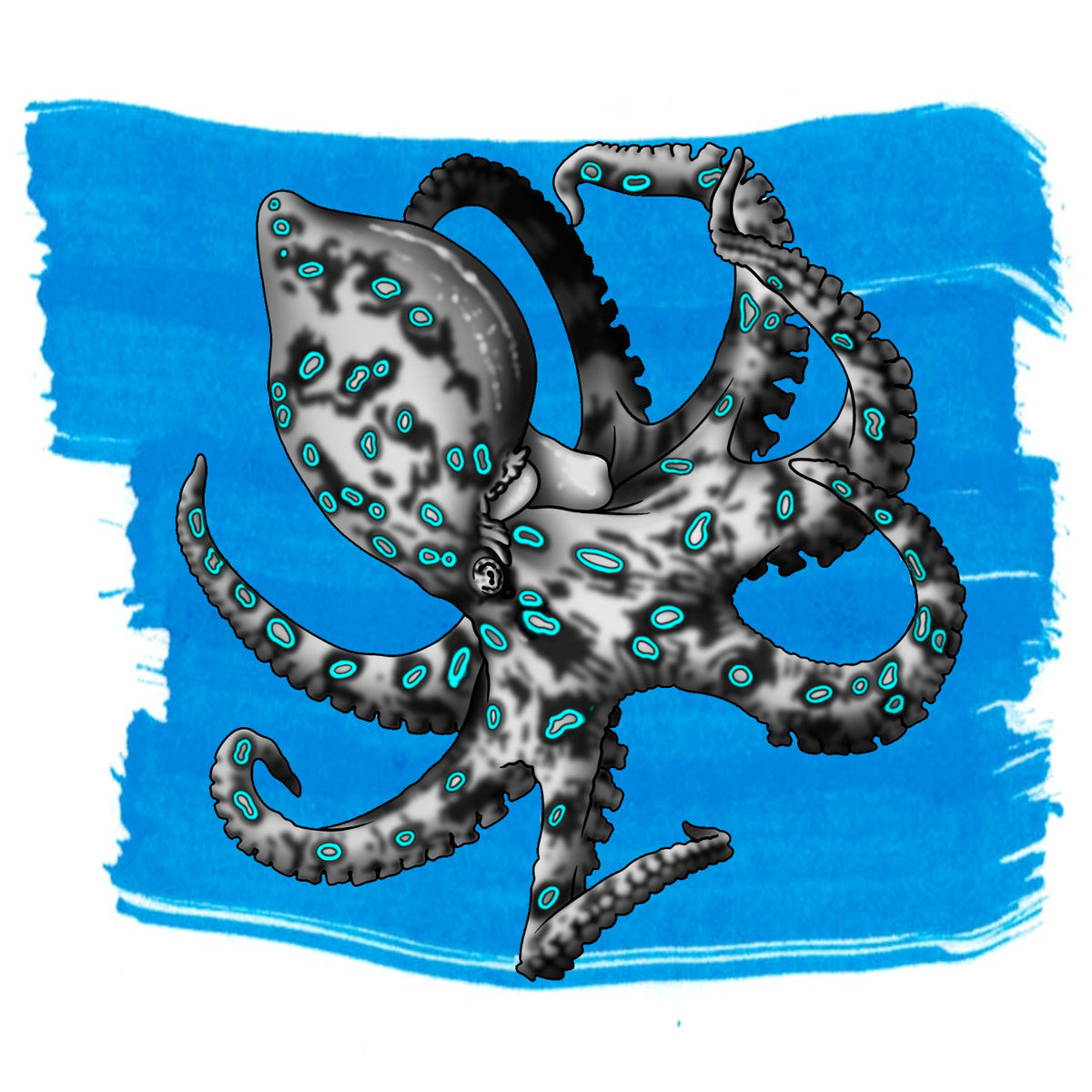 Anderillium Blue-Ringed Octopus Blue label illustration
