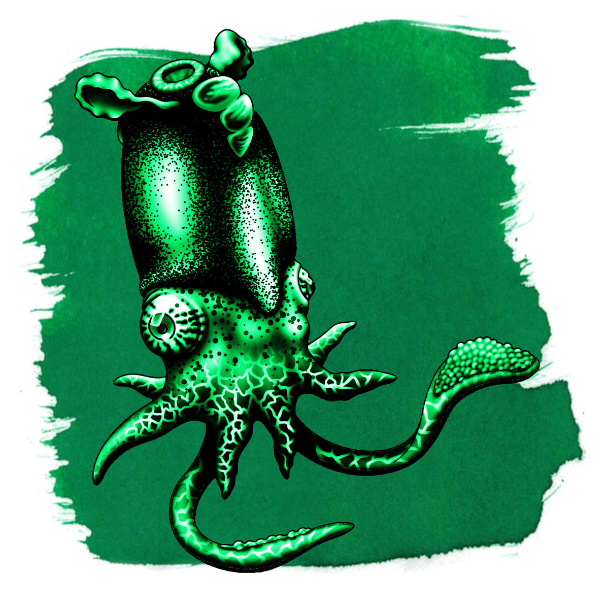 Anderillium Spirula Green label illustration
