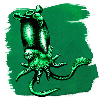 Anderillium Spirula Green label illustration