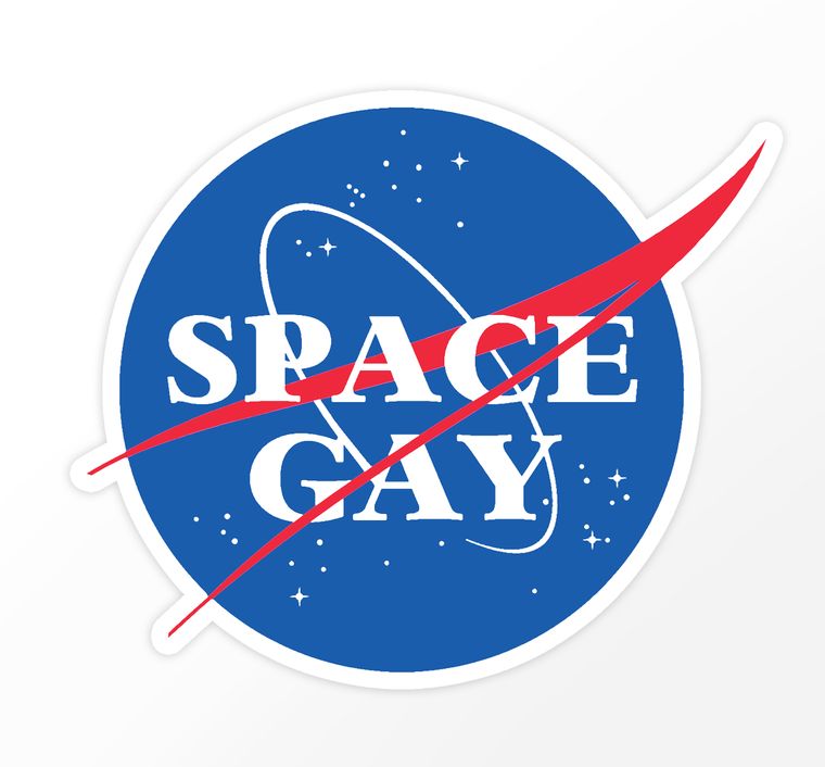 Space Gay NASA Logo 3" Vinyl Sticker