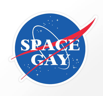 Space Gay NASA Logo 3" Vinyl Sticker